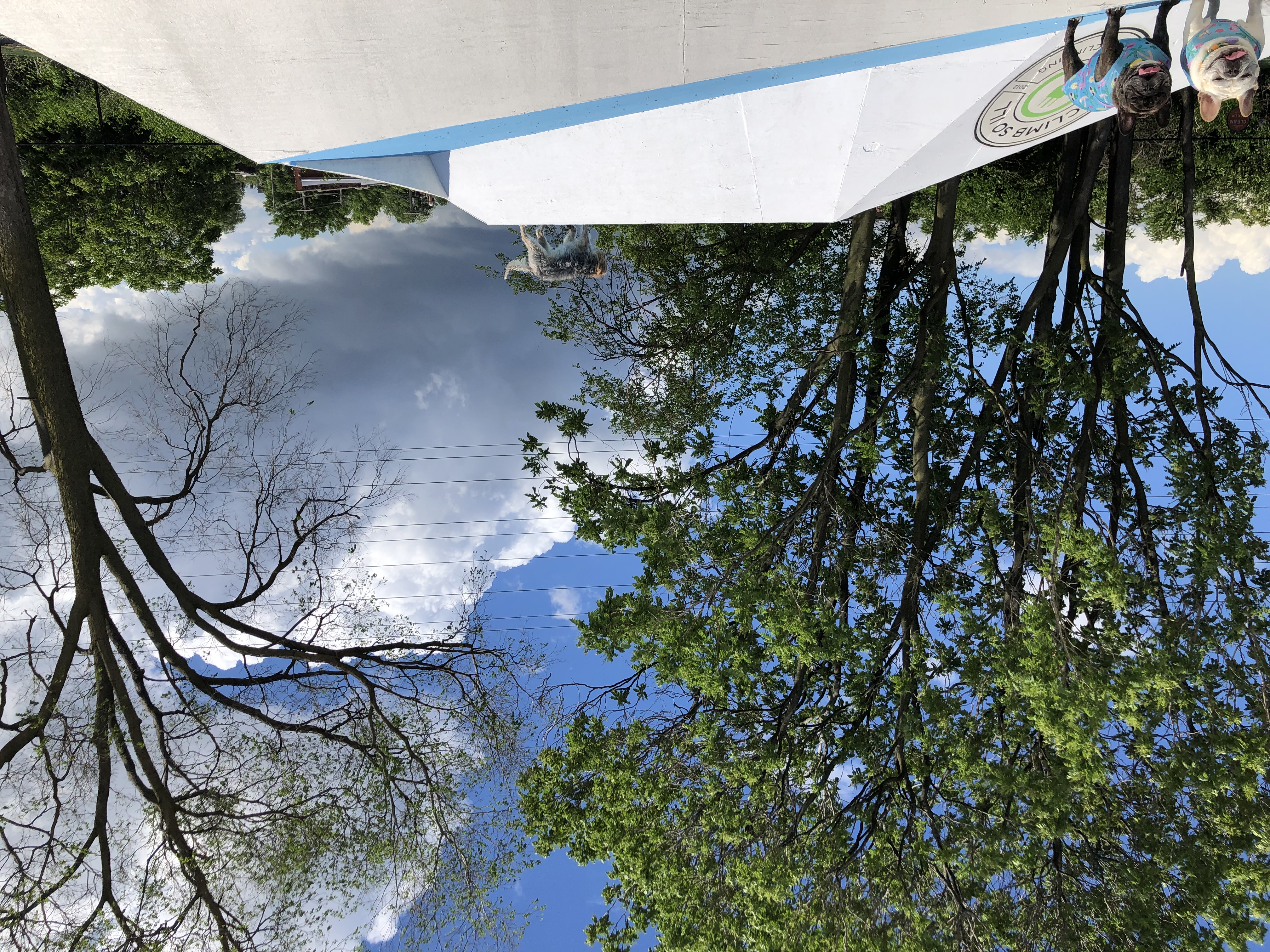 ./2022/06 - St Louis/06 - Day 6/20220526-10232115.JPG